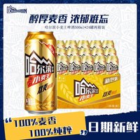 哈尔滨啤酒 小麦王整箱装500ml*12 罐