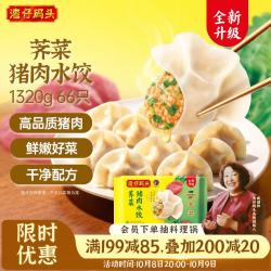 湾仔码头 白菜三鲜猪肉水饺 66只 1.32kg