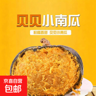 京喜加 贝贝南瓜新鲜当季广西贝贝南瓜粉糯香甜孕妇婴儿辅食蔬菜 贝贝南瓜净重 1斤 粉糯香甜