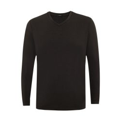 爱慕 先生羊毛暖尚2双层V领长袖NS72C948