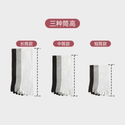 猫人 五指袜男士夏季薄款纯棉防臭抑菌分趾全棉中筒商务长袜子男款