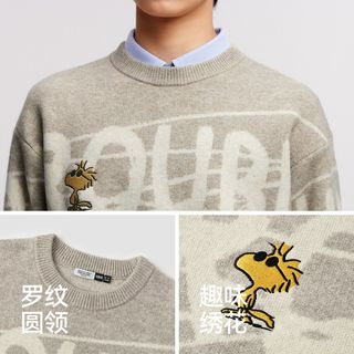 森马 史努比系列 提花绣花 男士针织衫