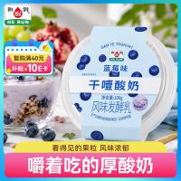 和润 干噎酸奶蓝莓味100g*2 干巴酸奶 13.2g高蛋白  希腊酸奶 干噎蓝莓 100g*2