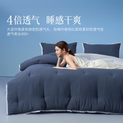 水星家纺 A类大豆抗菌四季被(静谧蓝) 220cm×240cm