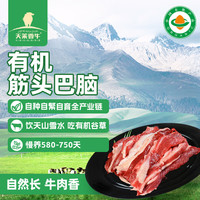 天莱香牛 有机筋头巴脑 500g