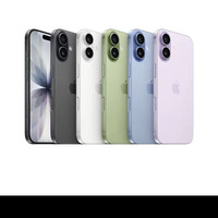 苹果 iPhone 17       256G 国行正品 全新未拆封