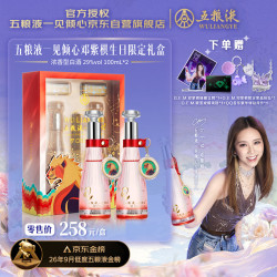 五粮液 一见倾心邓紫棋生日限定礼盒 29度 浓香型白酒 100mL*2低度白酒