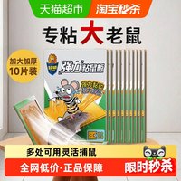 超威 强力粘鼠板10张加大加厚强力粘胶引诱力强优质胶水捕鼠神器