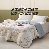 乐蜗家纺 罗莱家纺 A类抗菌春秋被-轻风徐来 220*240cm