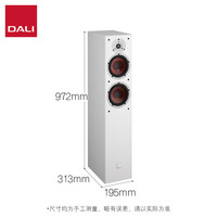 达尼 SPEKTOR 6 启典6 HIFI高保真落地音箱 白色