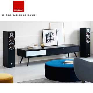 达尼 SPEKTOR 6 启典6 HIFI高保真落地音箱 白色