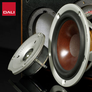 达尼 SPEKTOR 6 启典6 HIFI高保真落地音箱 白色