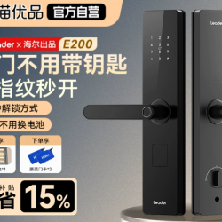 海尔 智家Leader统帅智能门锁 E200