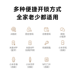 小米 XMZNMS24OD 3D人脸识别 C级锁芯 智能门锁