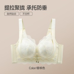 芬腾 内衣女小胸聚拢显大2026新爆款蕾丝提拉防垂调整型收副乳文胸