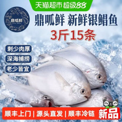 鼎呱鲜 鲜活银鲳鱼 深海新鲜冷冻款 500g*3袋