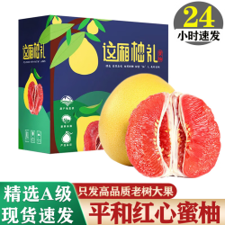 福建平和 三红柚 红心蜜柚 4.5斤装 2-3个