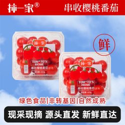 柿一家 樱桃番茄新鲜水果千禧圣女果小西红柿绿色健康800gPET