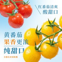 柿一家 樱桃番茄