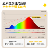 童视界 全光谱 100W 立式护眼落地灯