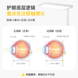 童视界 护眼大路灯 抑轴落地台灯E2Pro 100W