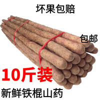枝遥 垆土焦作温县 铁棍山药 5斤装单支50cm+