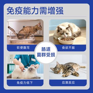 cute Glutton 猫咪布拉迪益生菌乳铁蛋白肠胃调理