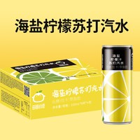 田园约定 海盐柠檬味苏打气泡水330ml*24瓶