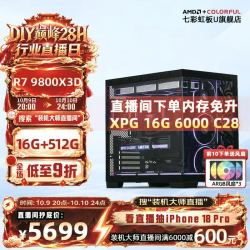 七彩虹 AMD锐龙9800X3D/威刚16G 6000 C28/512GB/B850M wifi7/核显 组装电脑