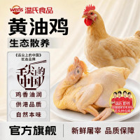 温氏 生态供港黄油鸡800g-900g*2只