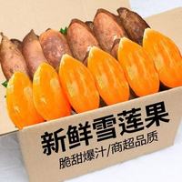 果迎鲜 云南天山雪莲果5斤 新鲜蔬果