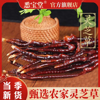 悉宝堂 正品灵芝草农家干货整枝灵芝草煲汤炖鸡泡茶泡酒