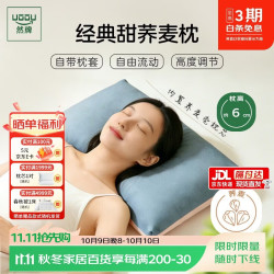 然牌 荞麦枕头 100%全荞麦壳枕头颈椎枕纯棉枕套 蓝粉单只装35x55cm