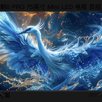 会员专享：雷鸟 鹤6PRO Mini LED背光分区灵控系统高刷电视机 75寸