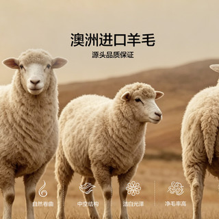 LOVO乐蜗家纺 A类抗菌羊毛冬被 51%澳毛 200*230cm