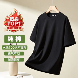 100%纯棉男士t恤圆领短袖t恤210g男女同款2026新款上衣试用专享