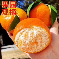 京喜加 四川 沃柑 带箱 3斤大果