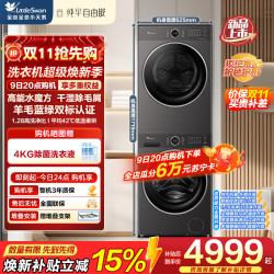 小天鹅 TG10V628PLUS+TH10VH628PLUS