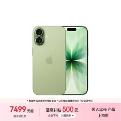 苹果 iPhone 17 5G手机 8GB+512GB 鼠尾草绿色