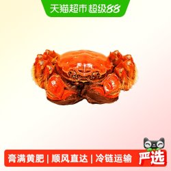 阳澄湖 【活蟹】阳澄格调精品全母3.8-4.1两 8只
