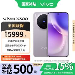 vivo X300 5G 手机 惬意紫 16GB 512GB