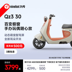 九号 Qz3 30 新国标电动自行车
