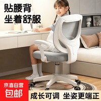 电脑椅学生学习椅可升降写字椅电脑座椅课桌椅组合必备矫姿护脊 星尘灰