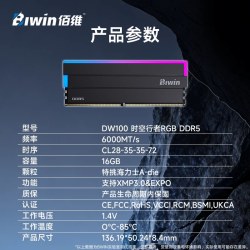 佰维 DW100 DDR5台式机RGB内存条32g 16G*2/24G*2套装6000 c28灯条