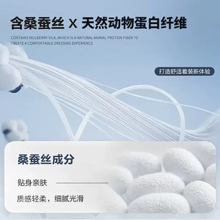 才子 长袖衬衫 透气蚕丝 灰蓝色 XL 40(175/92A)