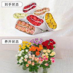 京喜 京东物流玫瑰花束10枝装云南鲜花直发节日鲜花礼物七夕情人节礼物 随机玫瑰10枝