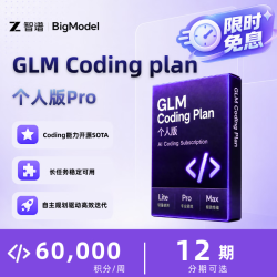 智谱 Coding Plan 个人版 Pro 季卡
