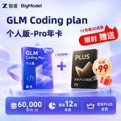 智谱 Coding Plan 个人版 Pro 年卡