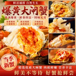 渔传播 固城湖大闸蟹足重活蟹全母2两*8只