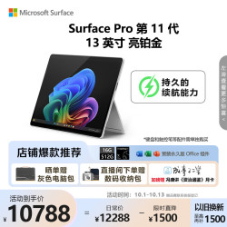 微软 Surface Pro第11版 二合一笔记本电脑 轻薄本 AI PC 骁龙X Plus 16G 512G 亮铂金